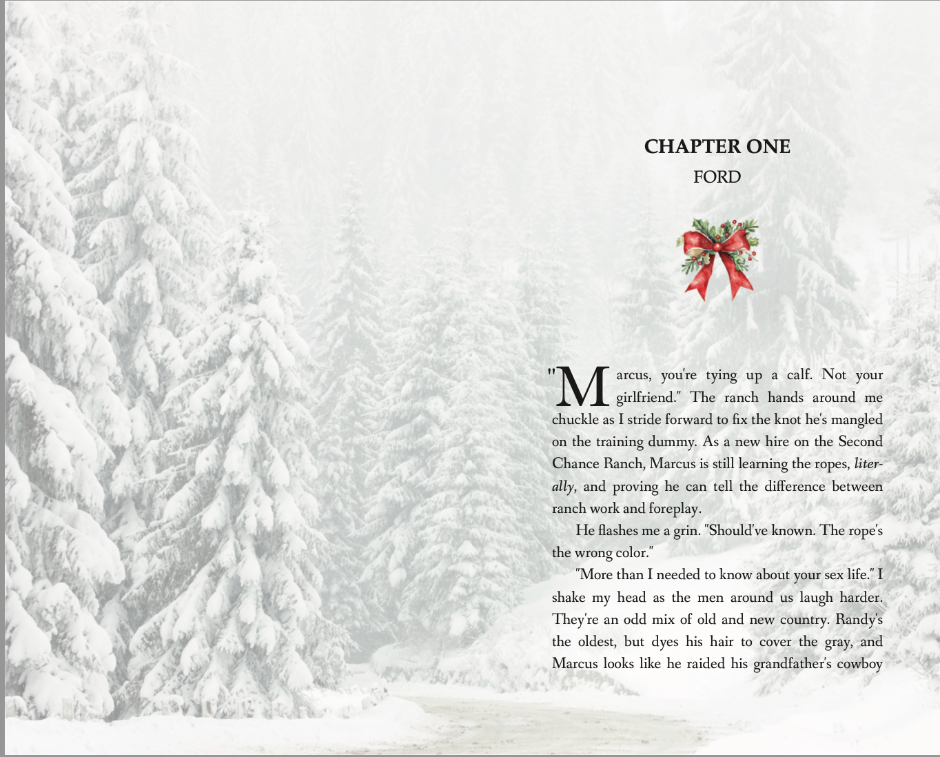 The King Brothers Book Bundle (Color chapter pages)